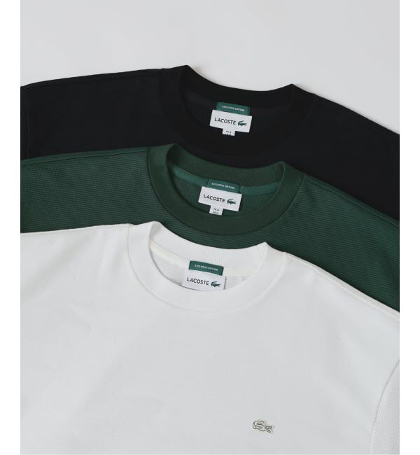 EDIFICE「《予約》LACOSTE(ラコステ) 別注 ニット Tシャツ」|Tシャツ・カットソー|
