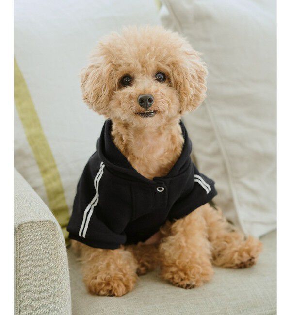 ROPE PICNIC PASSAGE「【DOG】サイドラインパーカー/リンクコーデ」|その他|