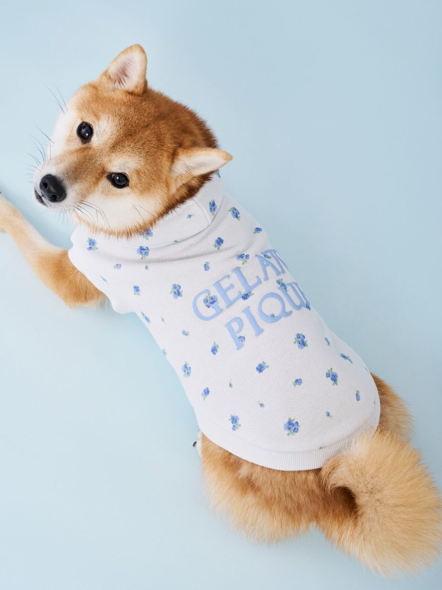  GELATO PIQUE CAT&DOG「【CAT&DOG】フラワー柄裏毛フーディー」|その他|