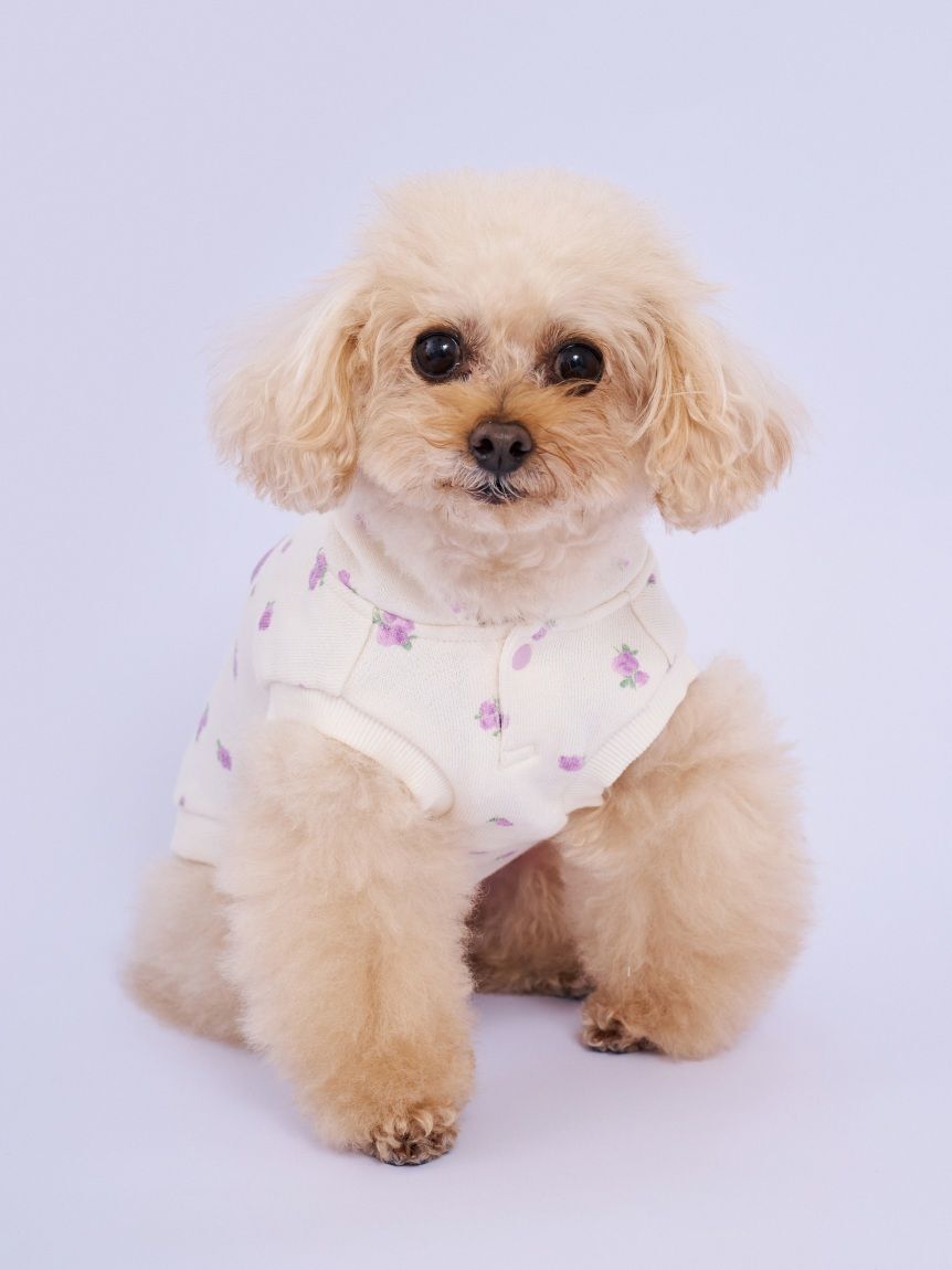  GELATO PIQUE CAT&DOG「【CAT&DOG】フラワー柄裏毛フーディー」|その他|