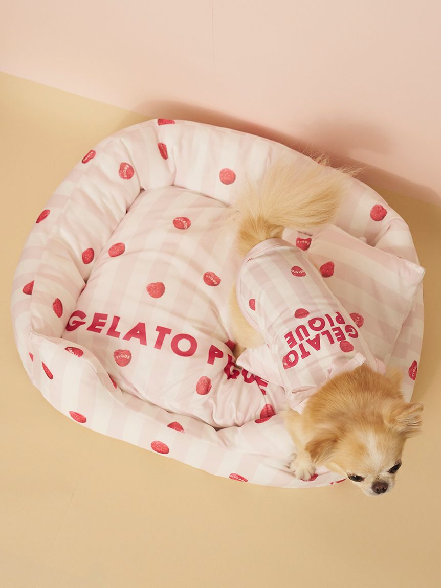  GELATO PIQUE CAT&DOG「【CAT&DOG】【接触冷感】 CoolingベッドS」|その他|PNK