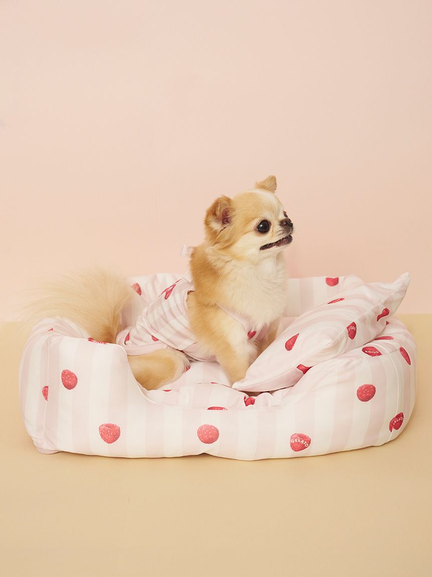  GELATO PIQUE CAT&DOG「【CAT&DOG】【接触冷感】 CoolingベッドS」|その他|