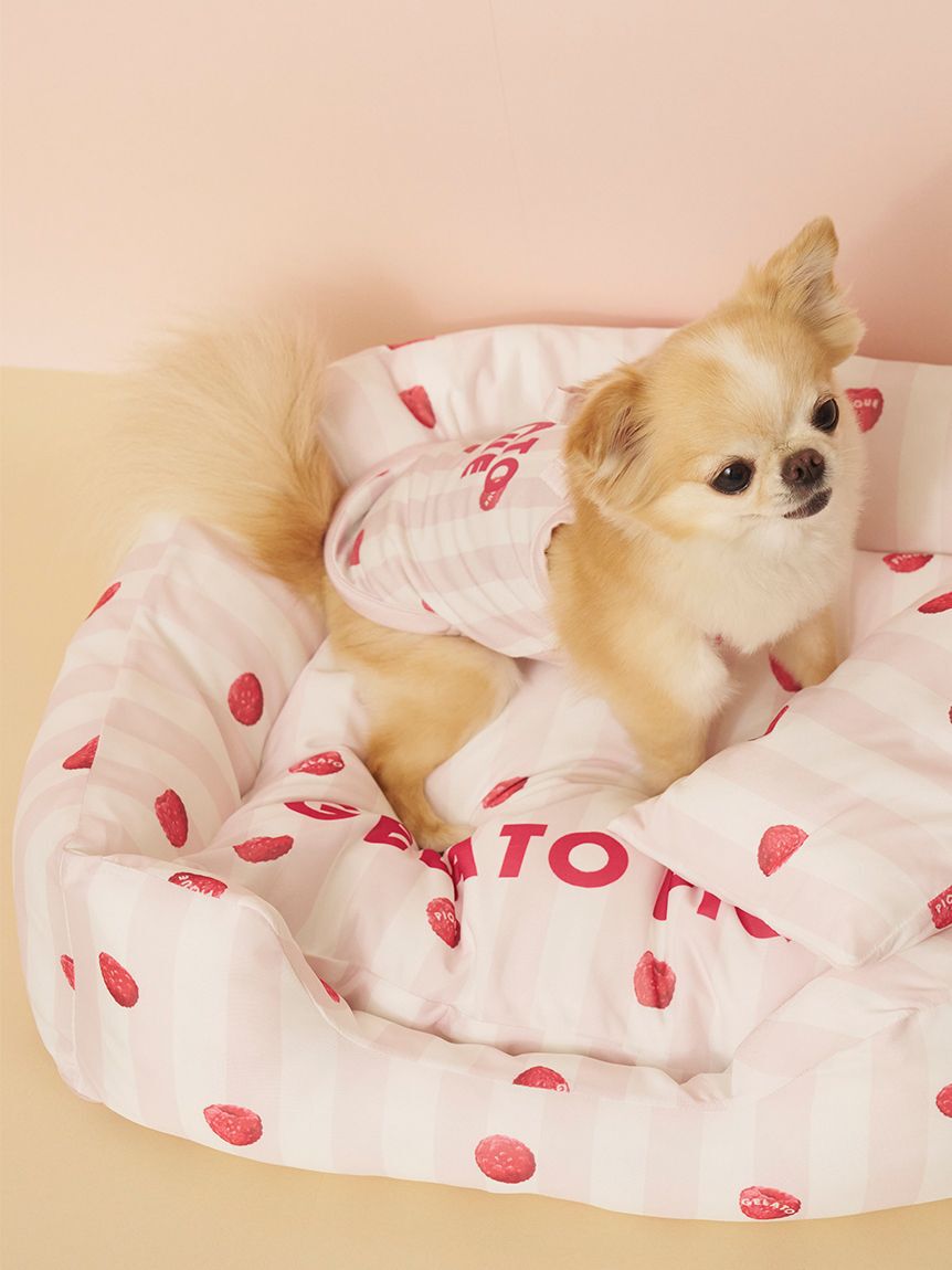  GELATO PIQUE CAT&DOG「【CAT&DOG】【接触冷感】 CoolingベッドS」|その他|