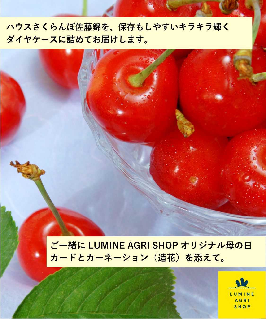 LUMINE AGRI SHOP「《母の日ギフト》さくらんぼbox」|果物・野菜|