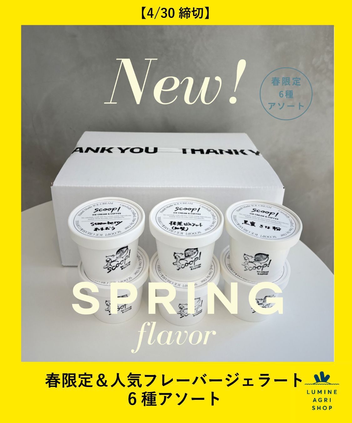 LUMINE AGRI SHOP「春限定＆人気ﾌﾚｰﾊﾞｰｼﾞｪﾗｰﾄ6種ｱｿｰﾄ」|和洋菓子・アイス|その他