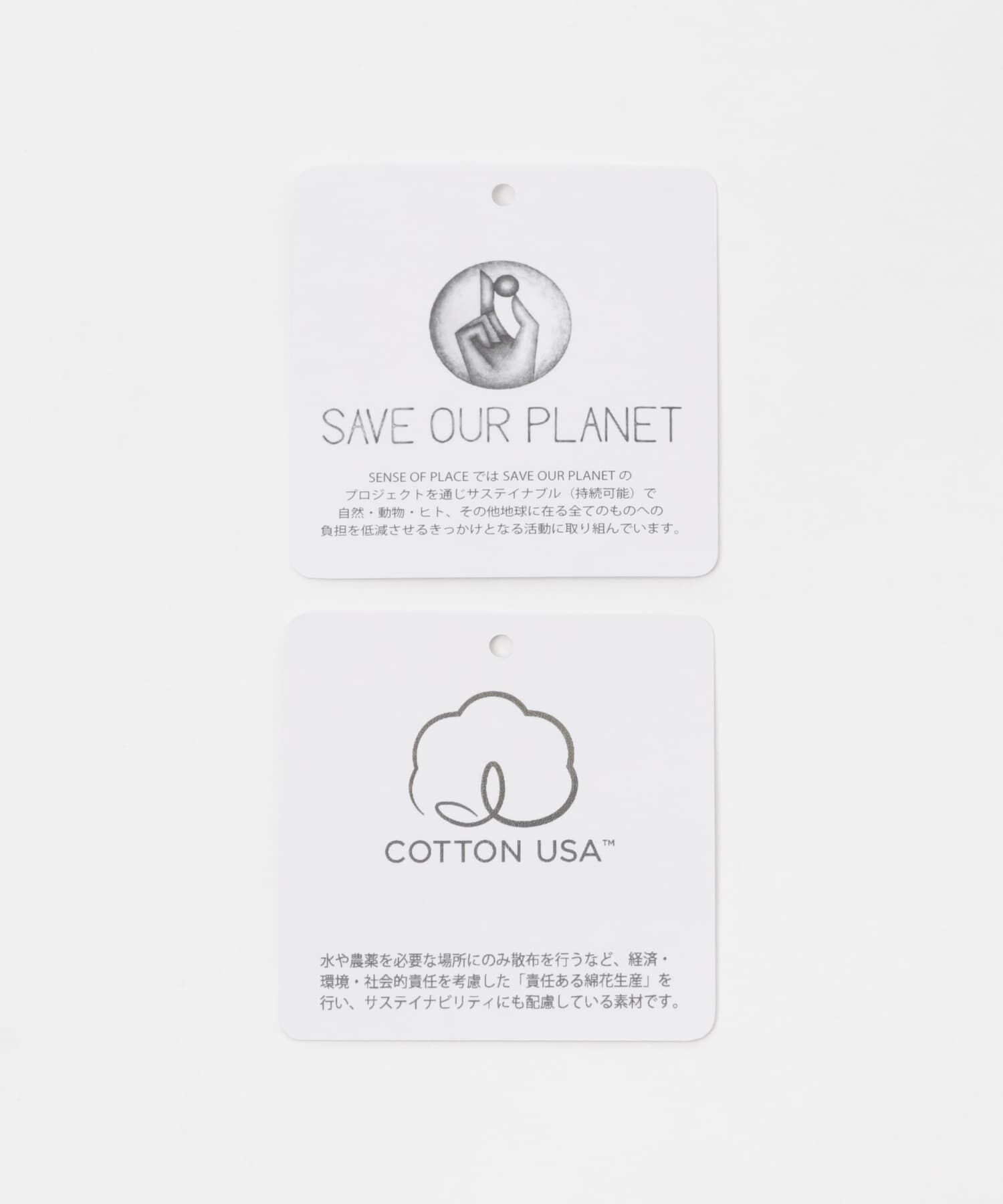 SENSE OF PLACE by URBAN RESEARCH「『別注』Champion&times;SENSE OF PLACE　カットオフスウェット」|スウェット・ジャージ|