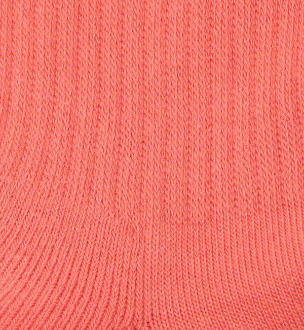 BEAUTY&YOUTH UNITED ARROWS「＜THE NORTH FACE＞ロゴ クルーソックス/2P」|ソックス|