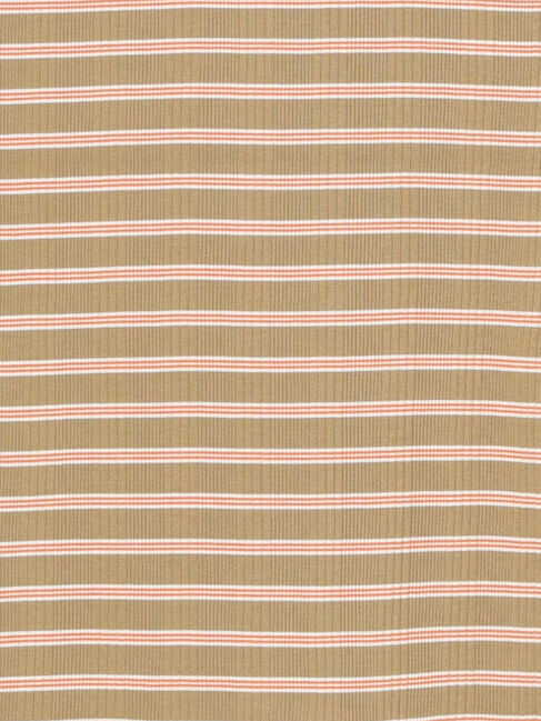 Lugnoncure「マルチボーダータンクトップ《2025summer catalog item》」|タンクトップ|