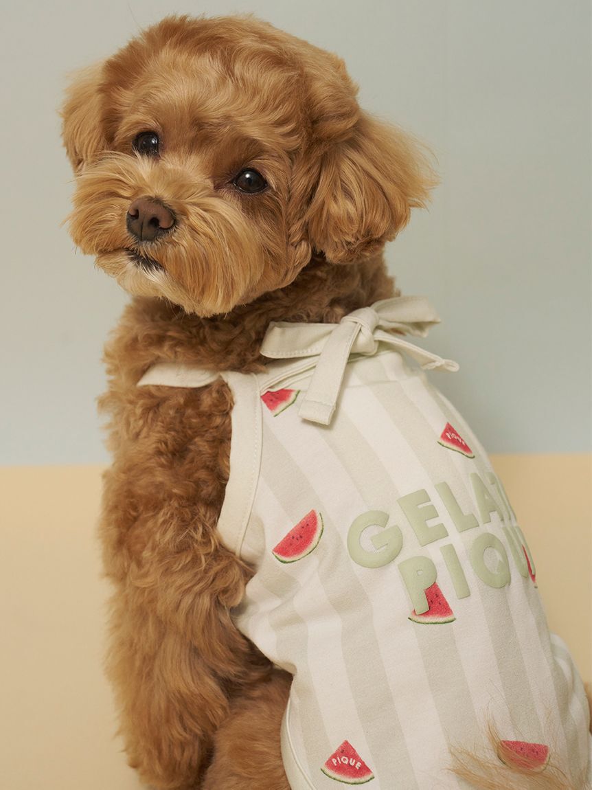  GELATO PIQUE CAT&DOG「【CAT&DOG】【接触冷感】 ストライプ柄Coolingプルオーバー」|その他|