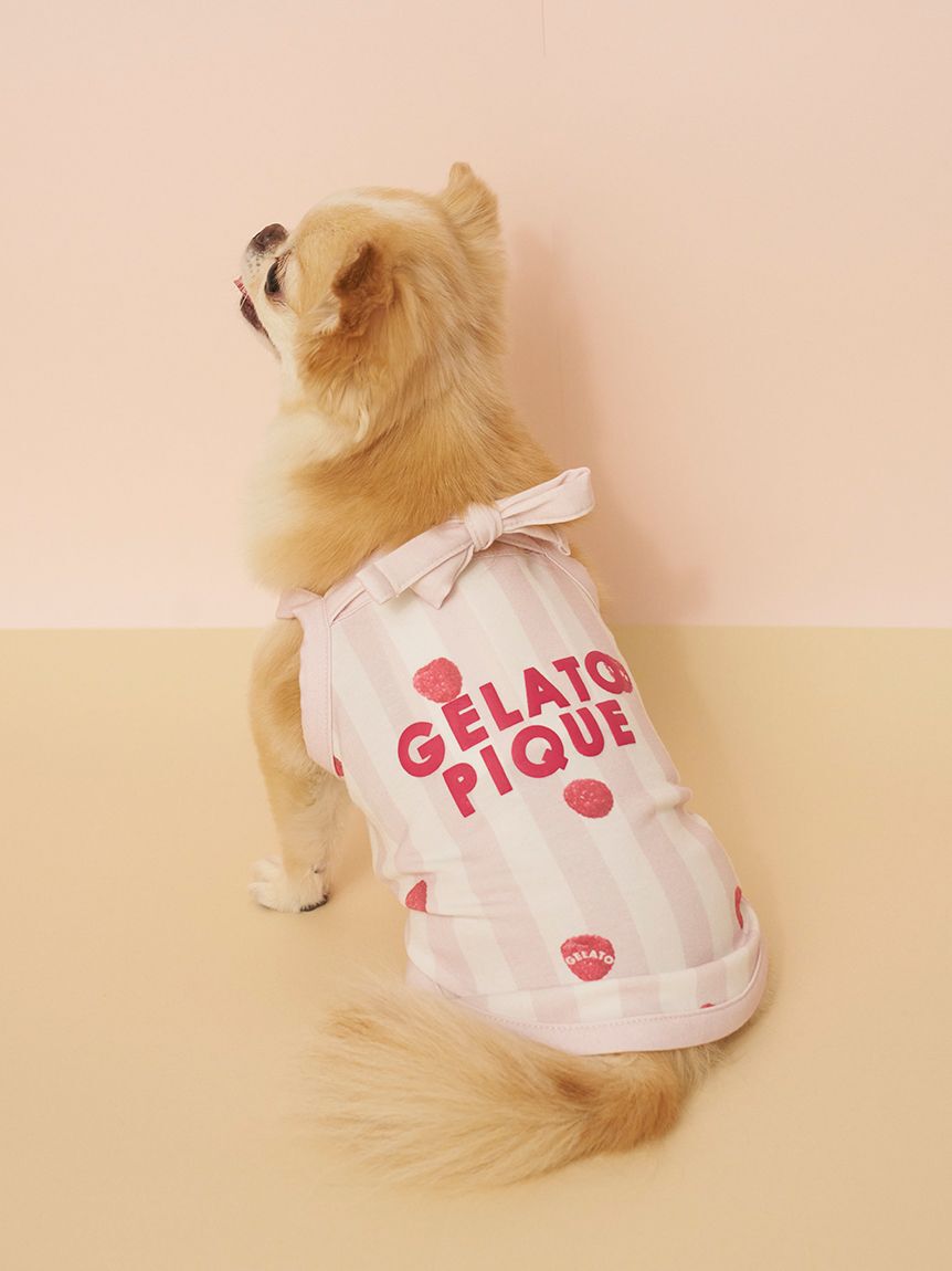  GELATO PIQUE CAT&DOG「【CAT&DOG】【接触冷感】 ストライプ柄Coolingプルオーバー」|その他|