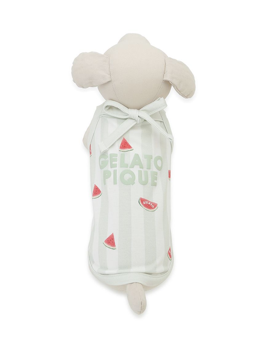  GELATO PIQUE CAT&DOG「【CAT&DOG】【接触冷感】 ストライプ柄Coolingプルオーバー」|その他|