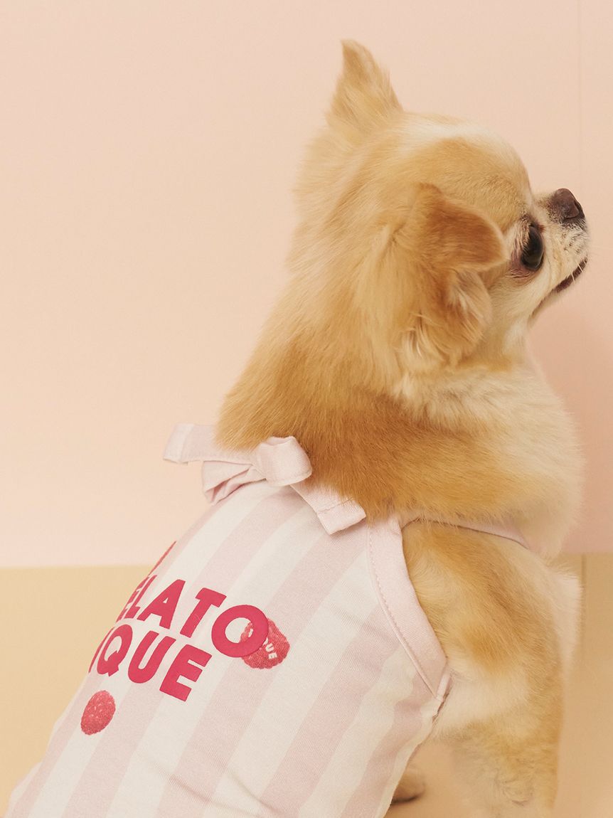  GELATO PIQUE CAT&DOG「【CAT&DOG】【接触冷感】 ストライプ柄Coolingプルオーバー」|その他|