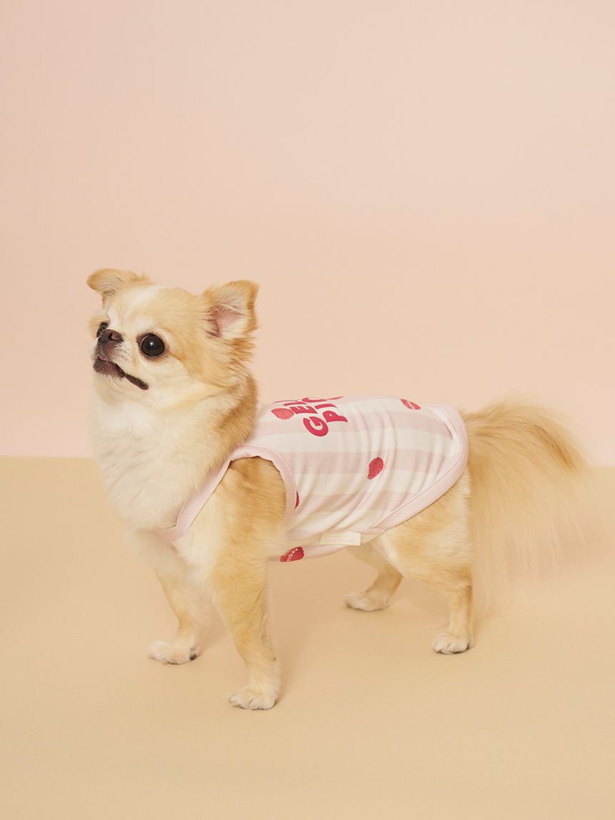  GELATO PIQUE CAT&DOG「【CAT&DOG】【接触冷感】 ストライプ柄Coolingプルオーバー」|その他|