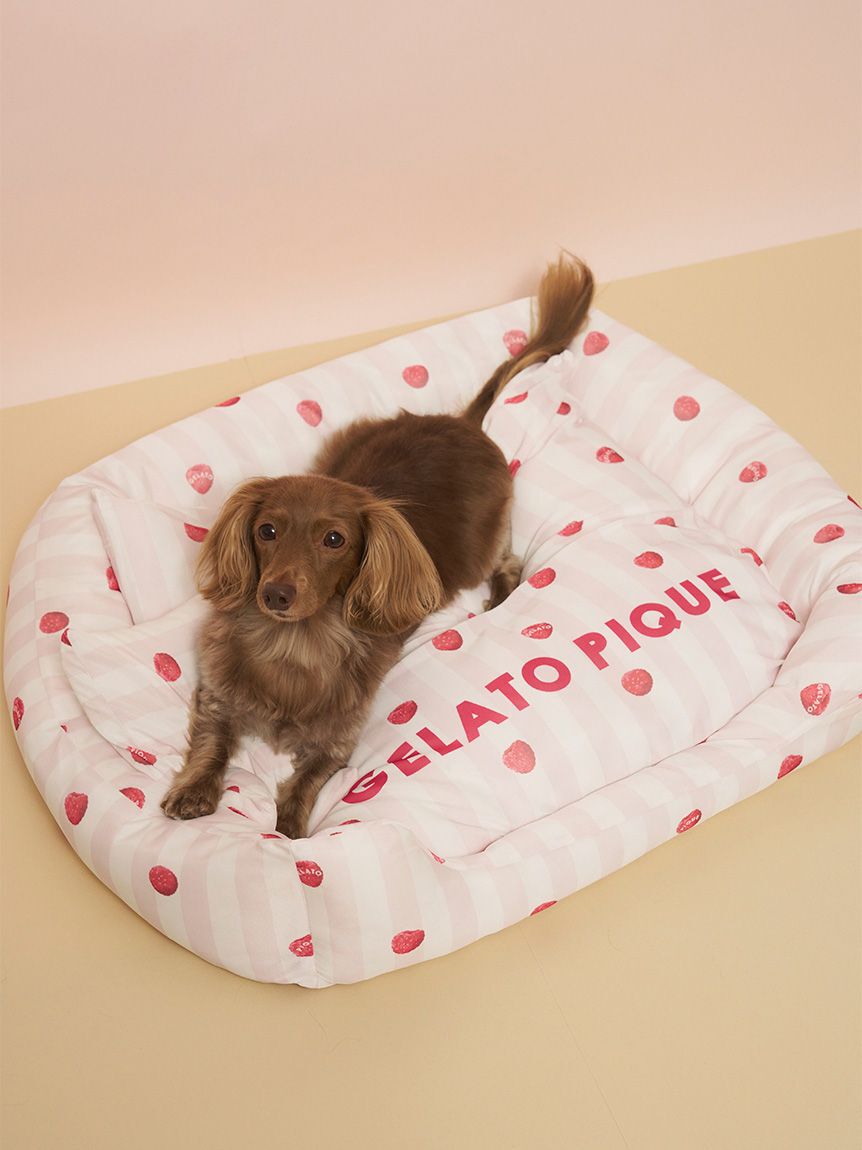  GELATO PIQUE CAT&DOG「【CAT&DOG】【接触冷感】 CoolingベッドM」|その他|PNK