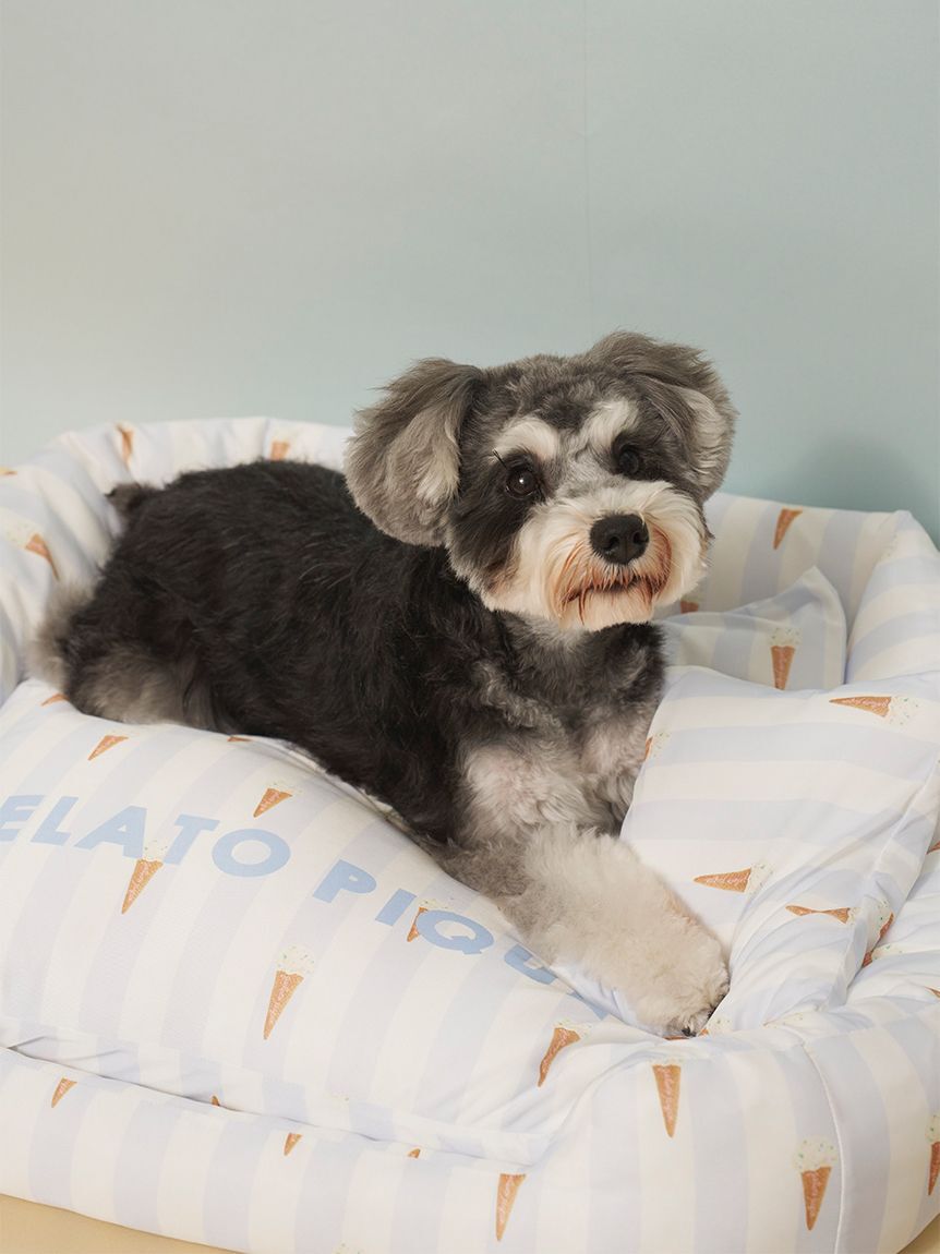  GELATO PIQUE CAT&DOG「【CAT&DOG】【接触冷感】 CoolingベッドM」|その他|