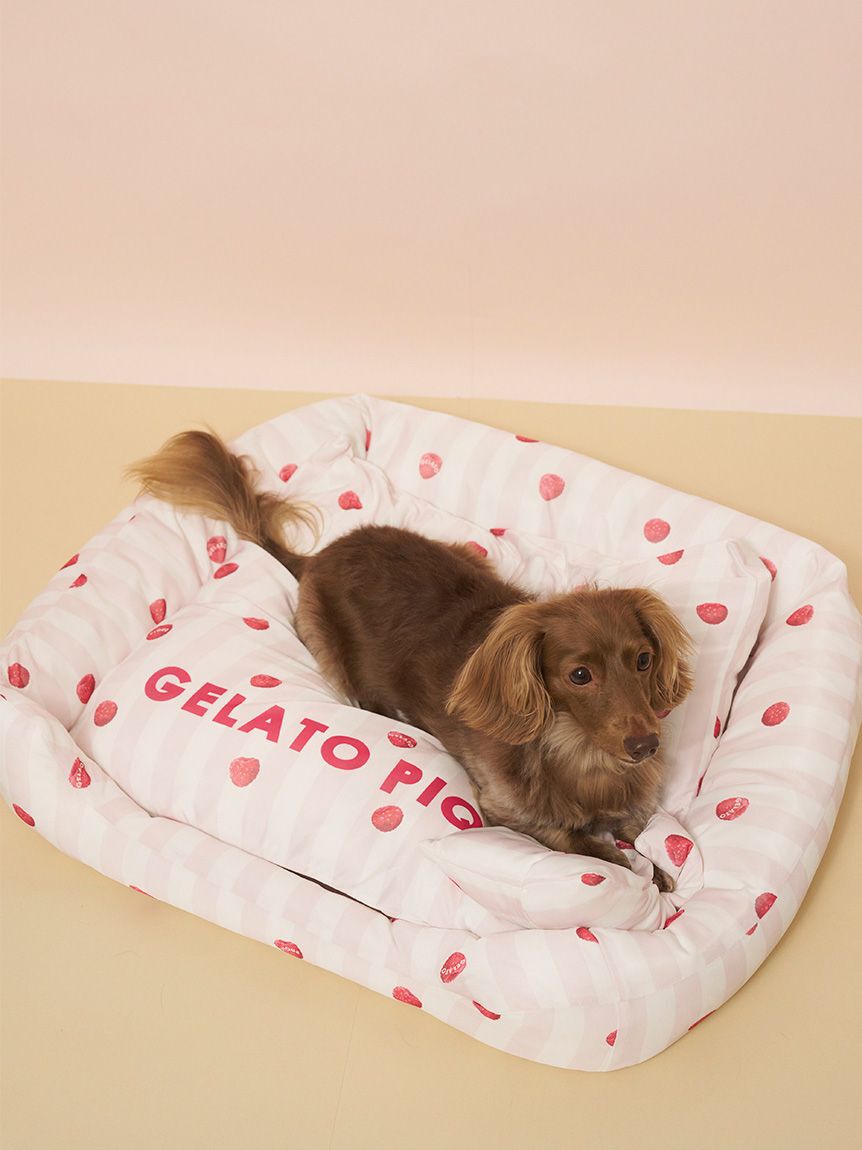  GELATO PIQUE CAT&DOG「【CAT&DOG】【接触冷感】 CoolingベッドM」|その他|