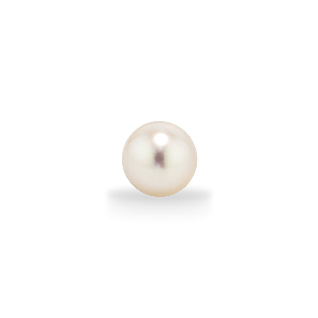 STAR JEWELRY「AKOYA PEARL BACK CATCH」|ピアス|