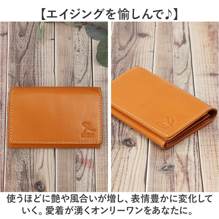 BACKYARD FAMILY「アーノルドパーマー 名刺入れ ArnoldPalmer 4AP3638 通販 名刺ケース」|名刺入れ・カードケース|