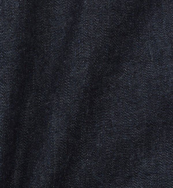 NOLLEY'S goodman「【DANTON/ダントン】DOT BUTTON B.D. SHIRT SS 26SS（DT-B0337 DUG）」|シャツ・ブラウス|