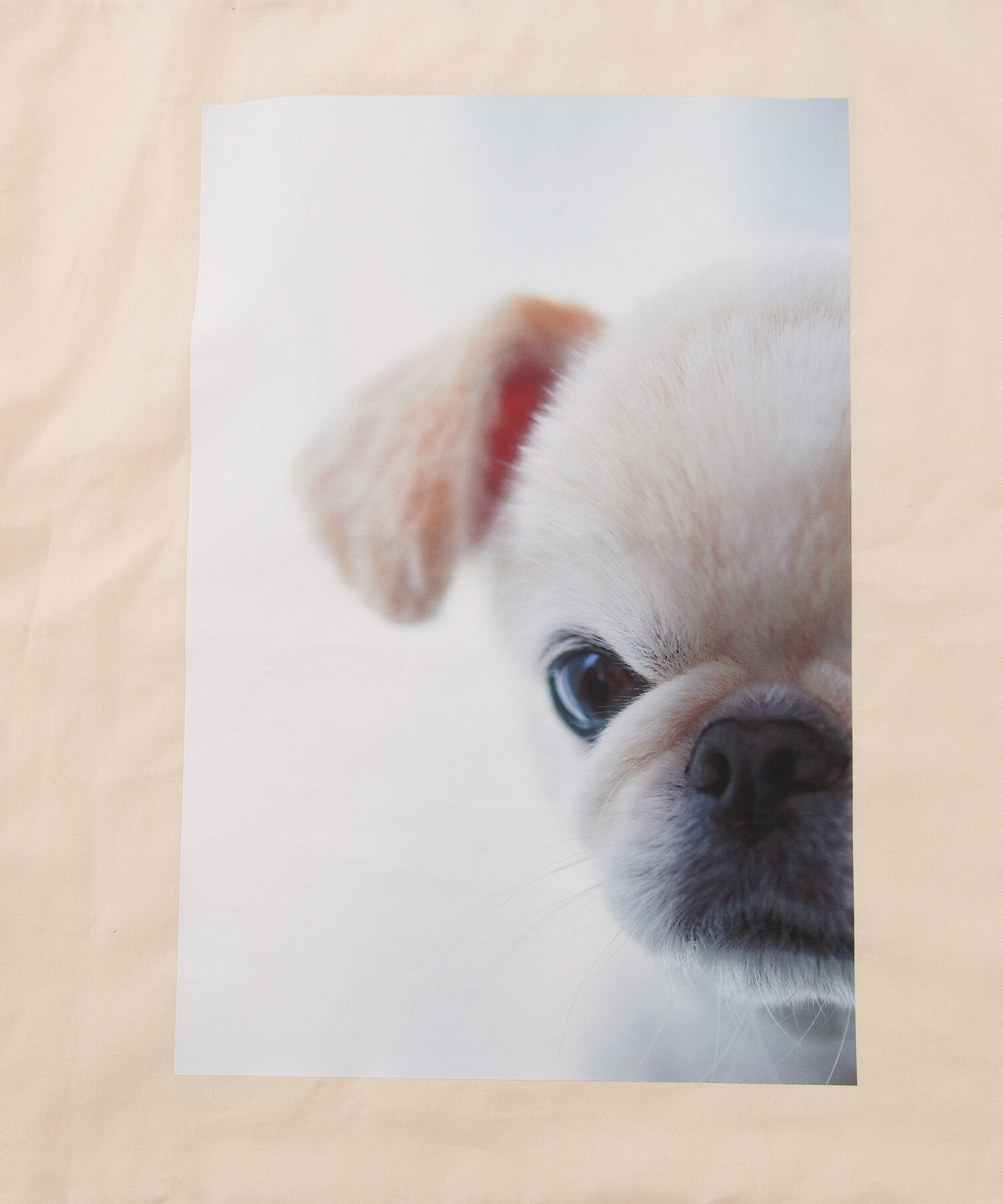 ROPE PICNIC PASSAGE「【WEB限定】おもちくん&times;ROPE' PICNIC/Photoプリントトートバッグ」|トートバッグ|