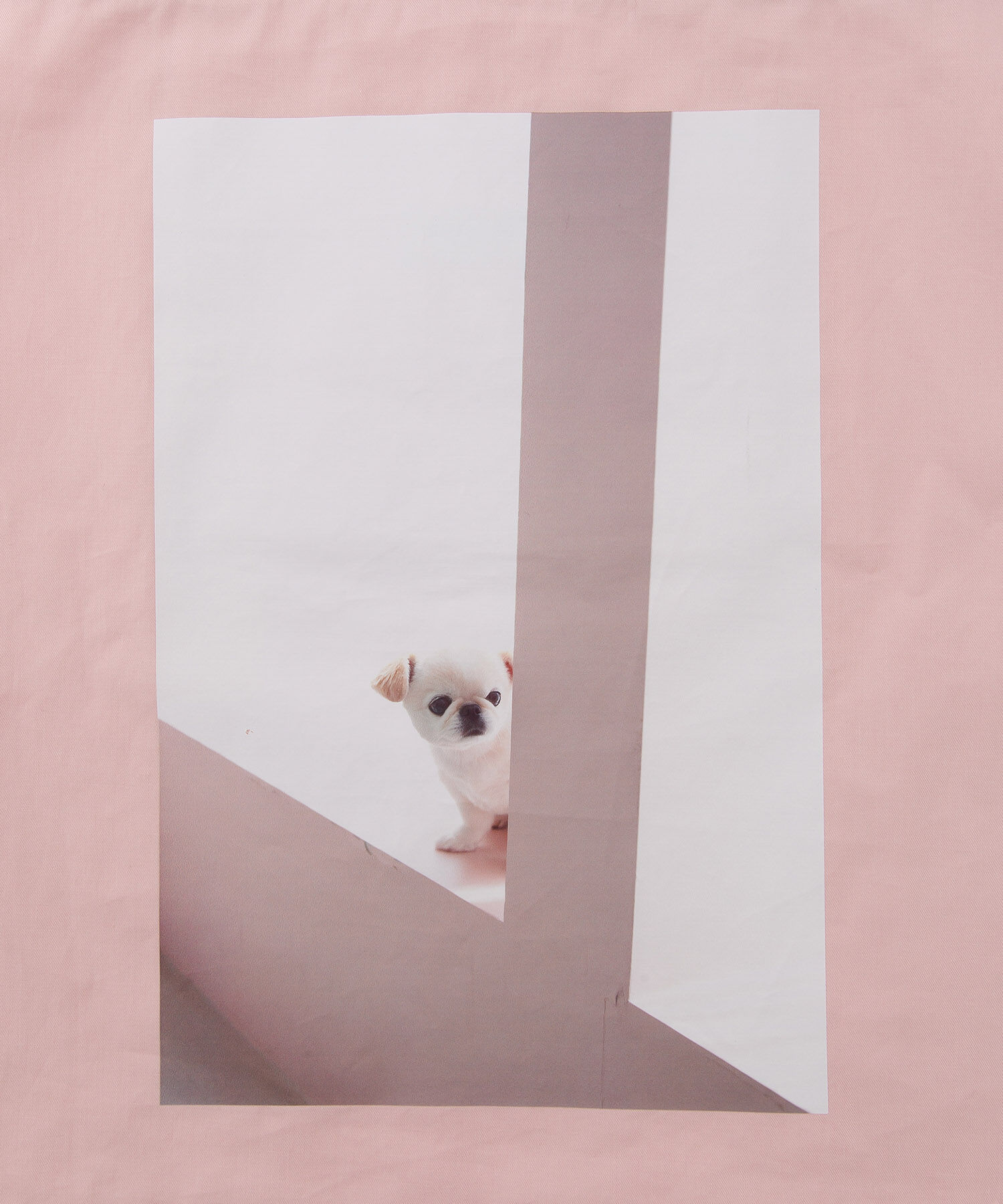 ROPE PICNIC PASSAGE「【WEB限定】おもちくん&times;ROPE' PICNIC/Photoプリントトートバッグ」|トートバッグ|