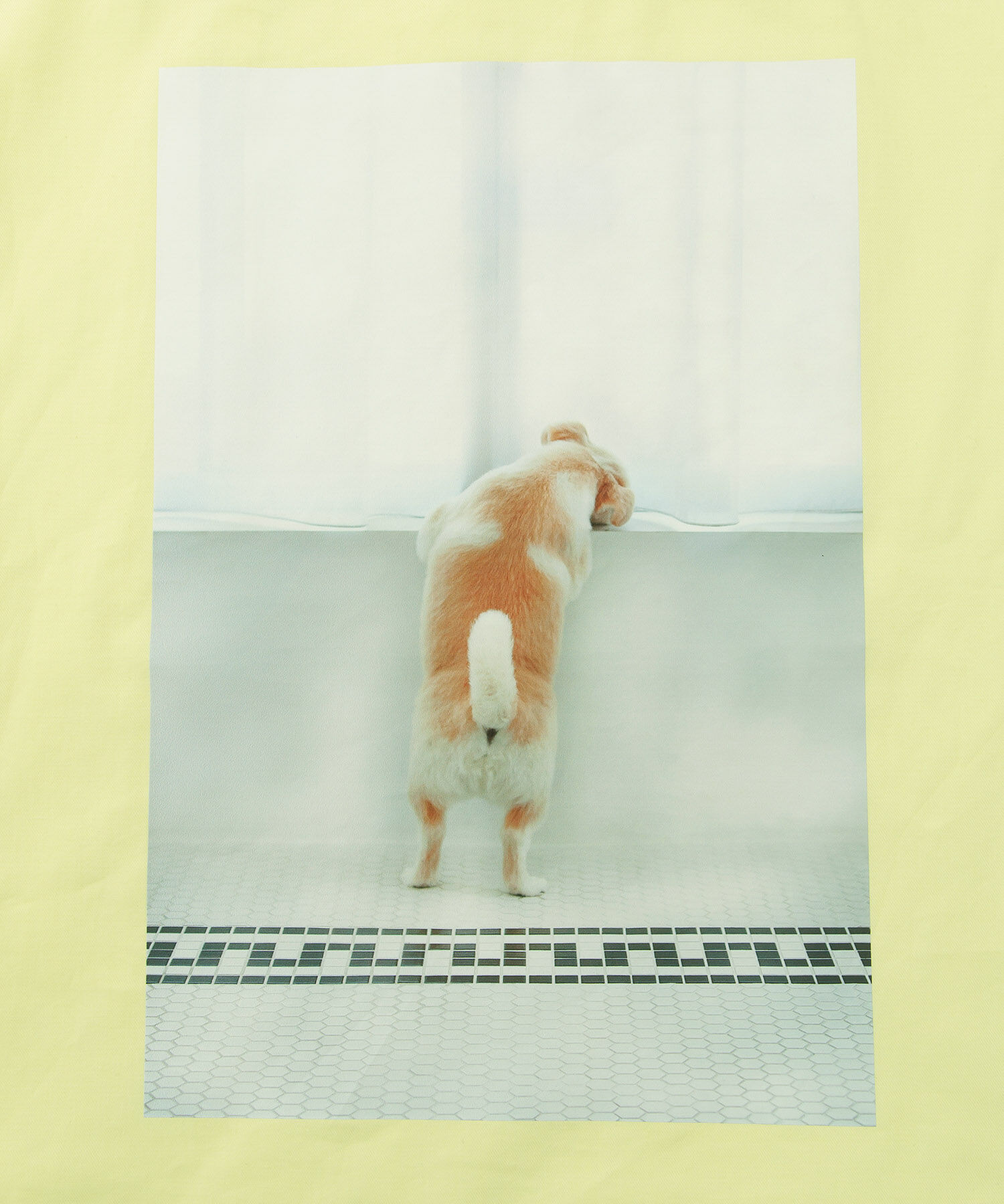 ROPE PICNIC PASSAGE「【WEB限定】おもちくん&times;ROPE' PICNIC/Photoプリントトートバッグ」|トートバッグ|