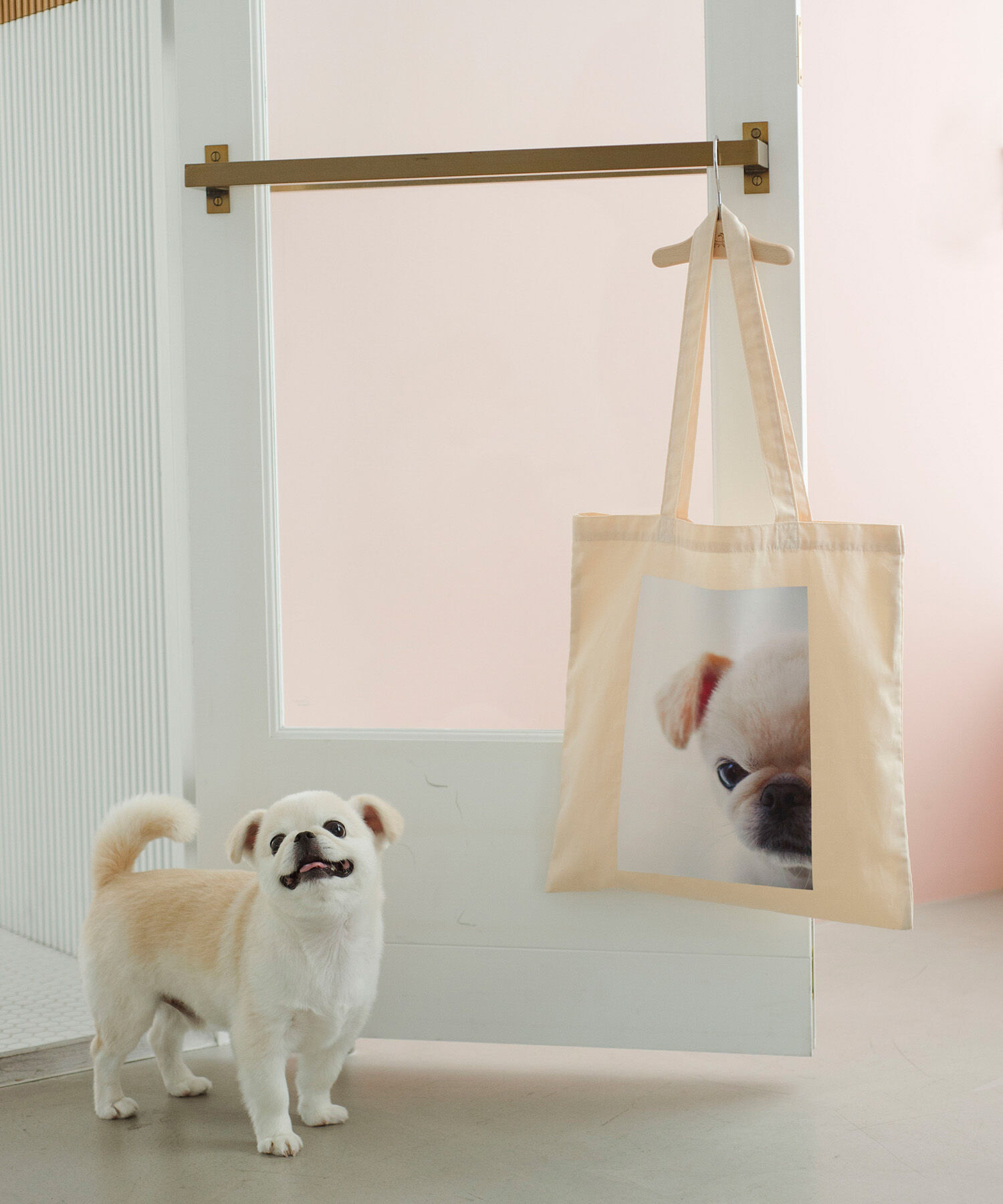 ROPE PICNIC PASSAGE「【WEB限定】おもちくん&times;ROPE' PICNIC/Photoプリントトートバッグ」|トートバッグ|