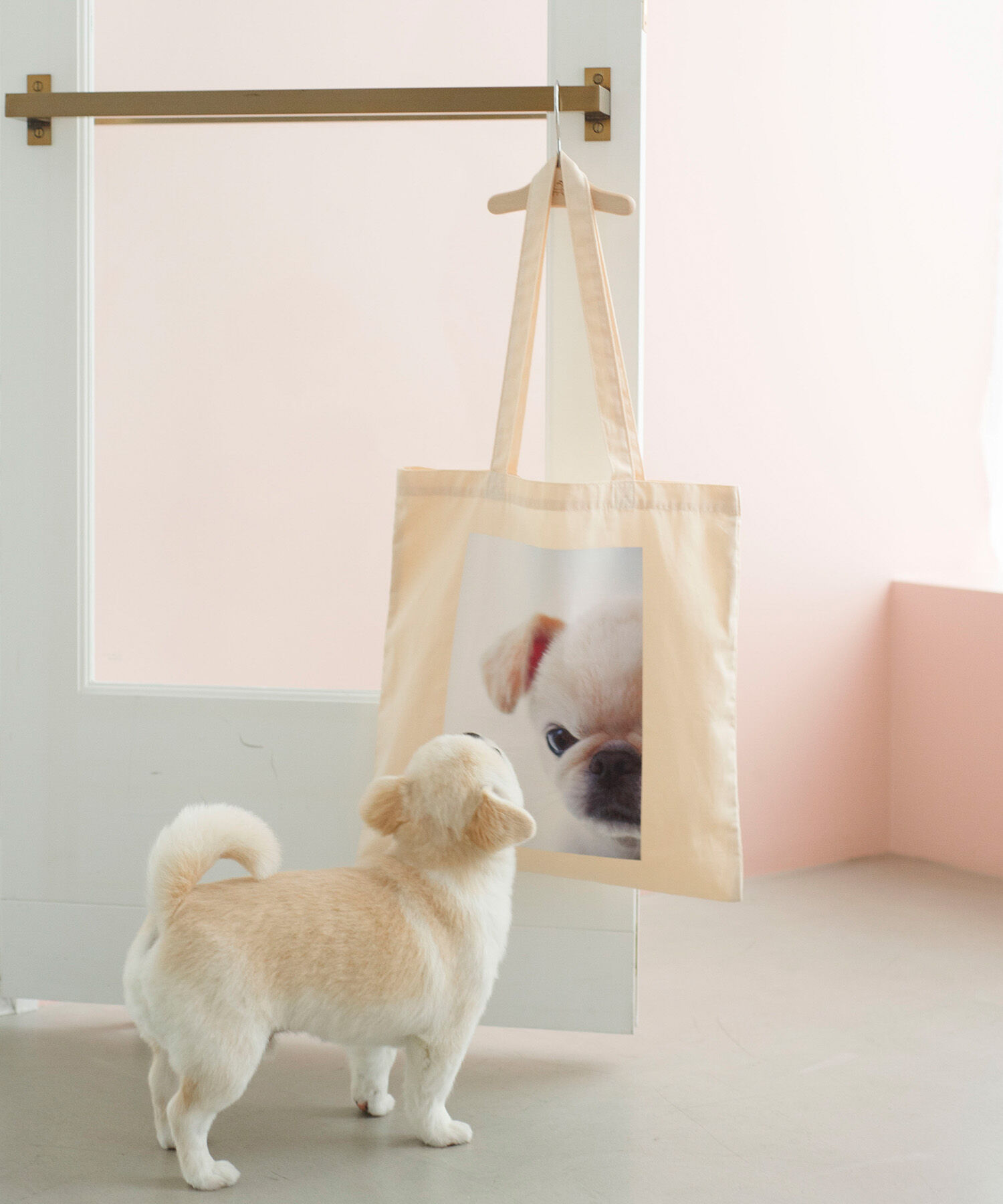 ROPE PICNIC PASSAGE「【WEB限定】おもちくん&times;ROPE' PICNIC/Photoプリントトートバッグ」|トートバッグ|