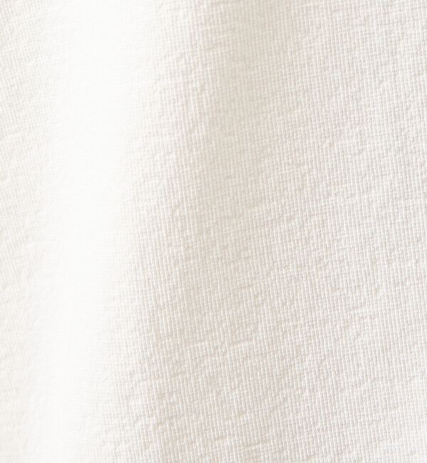 ABAHOUSE「シュリンク天竺 クルーネック半袖Tシャツ【予約】」|Tシャツ・カットソー|