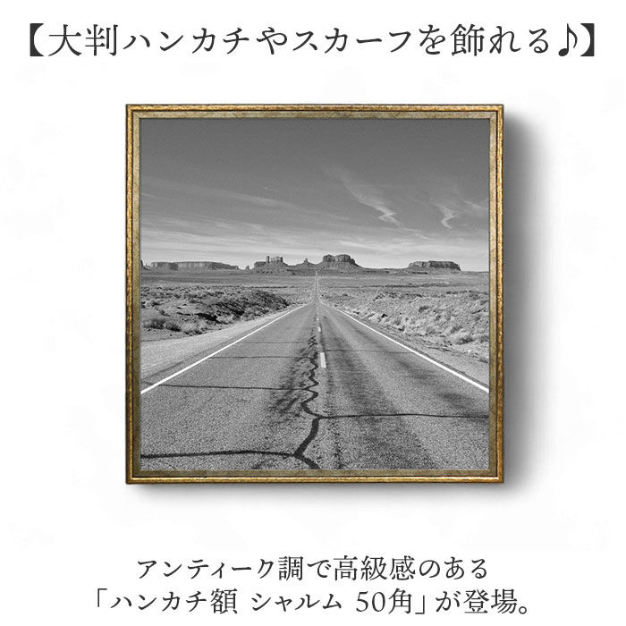 BACKYARD FAMILY「ハンカチ額 通販 額縁 シャルム 500x500mm フレーム 正方形 壁掛け 飾る」|その他|