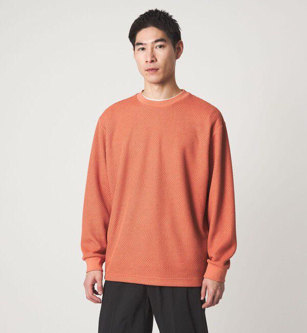 UNITED ARROWS green label relaxing「クリア ラッセル クルーネック カットソー」|Tシャツ・カットソー|