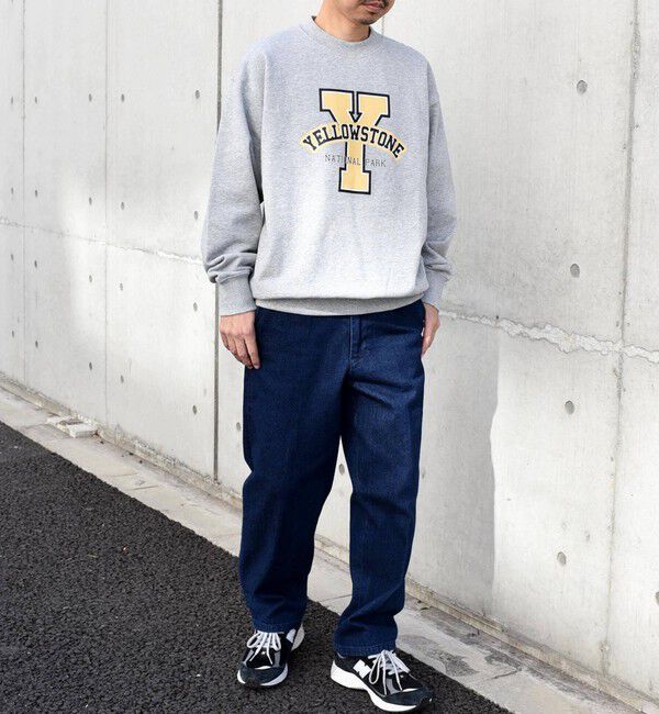 SHIPS any「【WEB限定】SHIPS any: NATIONAL PARK プリント スウェット 23AW◇」|スウェット・ジャージ|