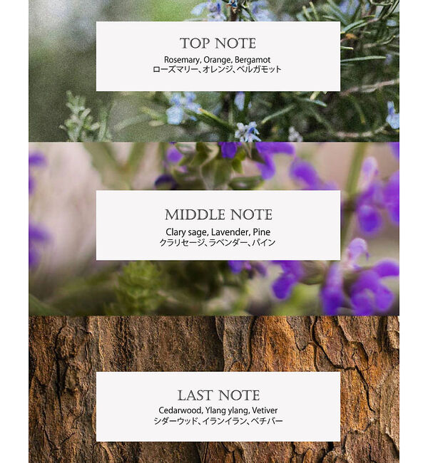 Rouge vif「【FIT YOUR SKIN/フィットユアスキン】ディープモイスチャークレンジン」|その他|