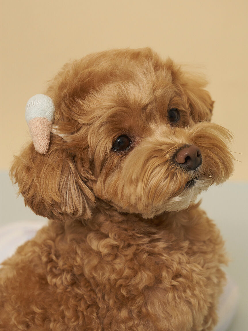  GELATO PIQUE CAT&DOG「【CAT&DOG】サマーモチーフヘアゴム」|その他|