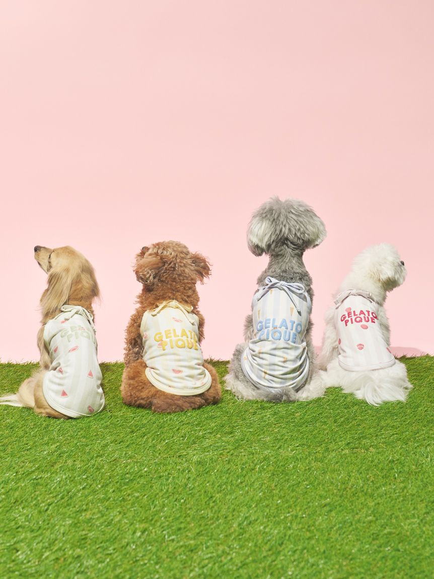  GELATO PIQUE CAT&DOG「【CAT&DOG】【接触冷感】ダックスフンドサイズCoolingプルオーバー」|その他|