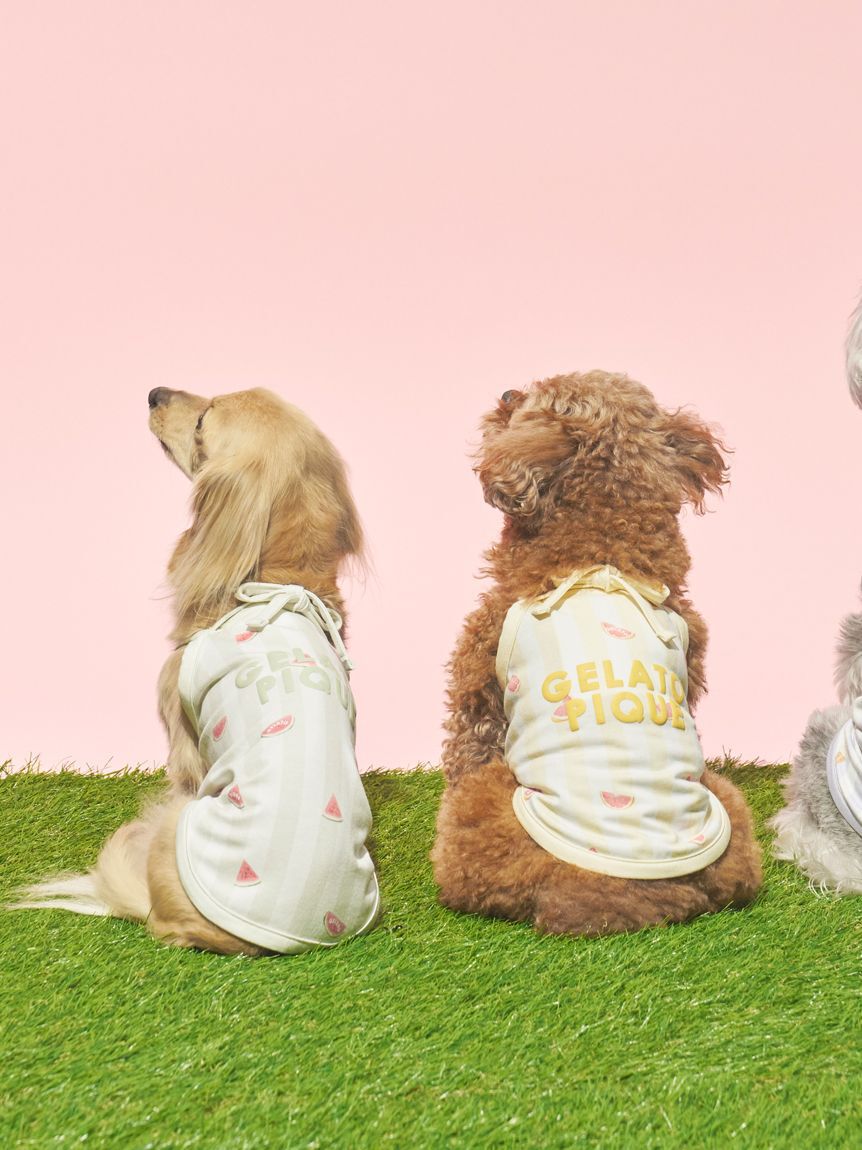  GELATO PIQUE CAT&DOG「【CAT&DOG】【接触冷感】ダックスフンドサイズCoolingプルオーバー」|その他|