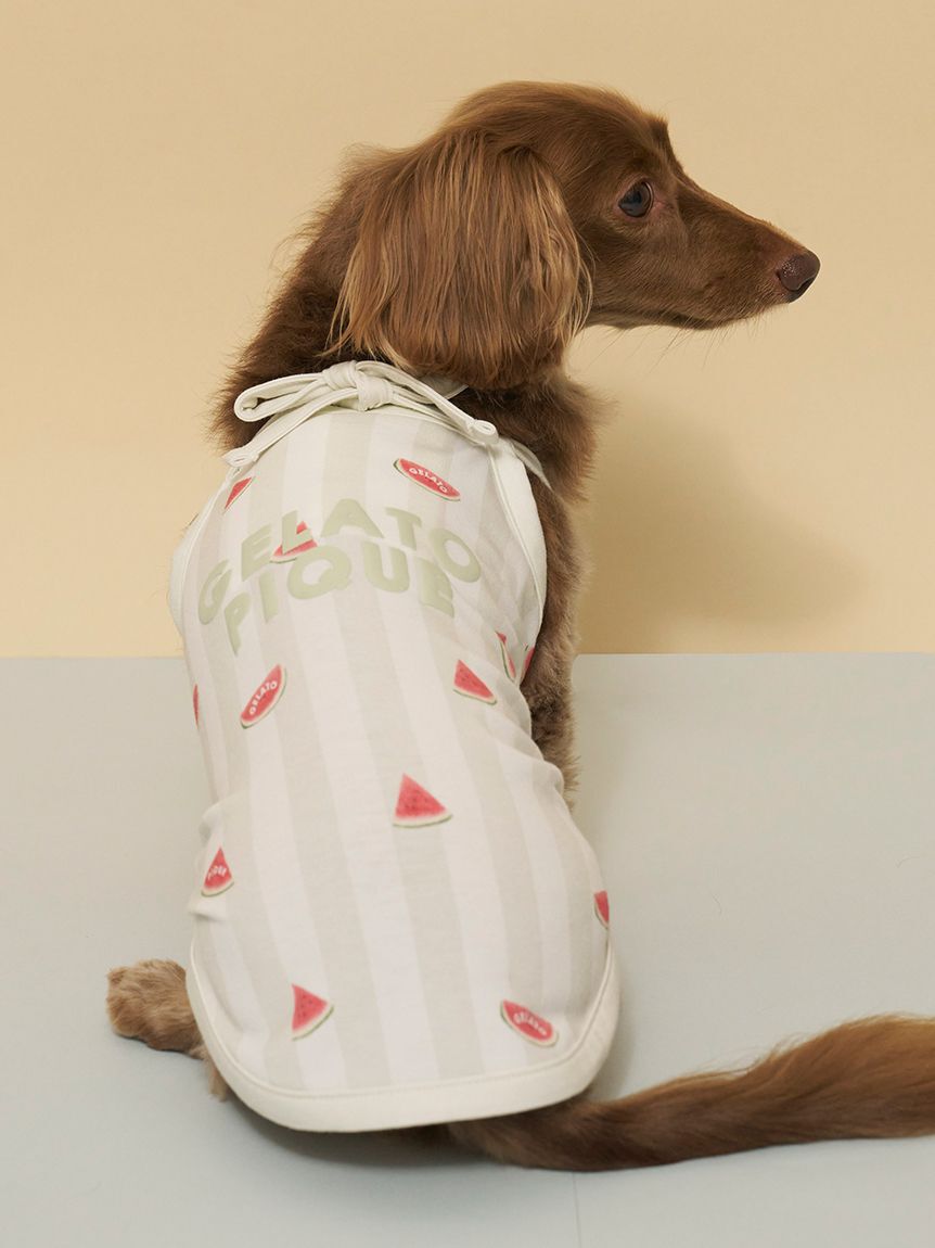  GELATO PIQUE CAT&DOG「【CAT&DOG】【接触冷感】ダックスフンドサイズCoolingプルオーバー」|その他|