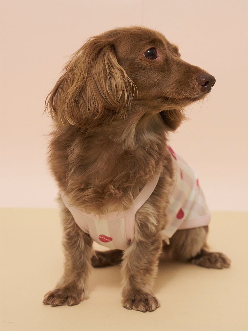  GELATO PIQUE CAT&DOG「【CAT&DOG】【接触冷感】ダックスフンドサイズCoolingプルオーバー」|その他|