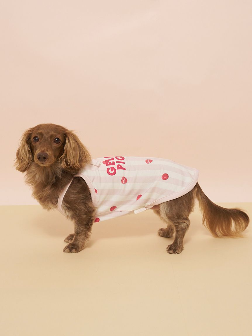  GELATO PIQUE CAT&DOG「【CAT&DOG】【接触冷感】ダックスフンドサイズCoolingプルオーバー」|その他|