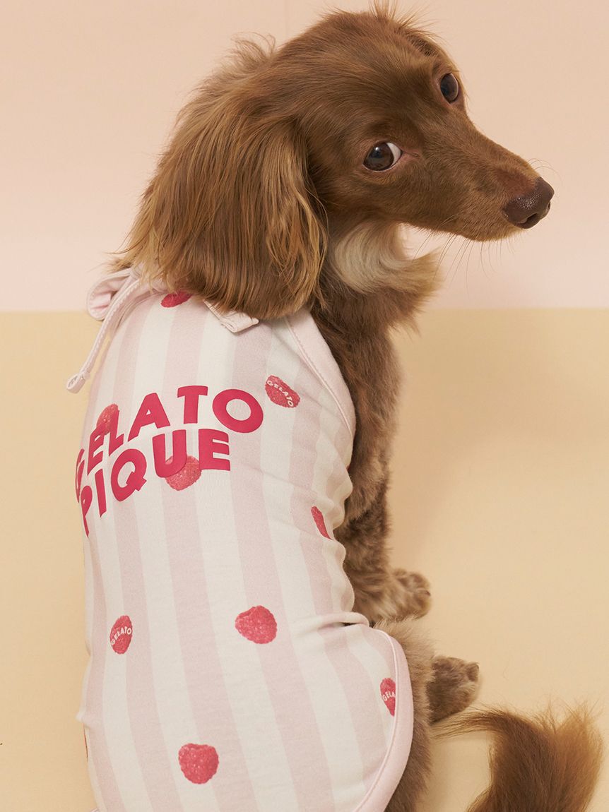  GELATO PIQUE CAT&DOG「【CAT&DOG】【接触冷感】ダックスフンドサイズCoolingプルオーバー」|その他|PNK
