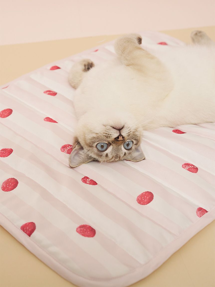 GELATO PIQUE CAT&DOG「【CAT&DOG】【接触冷感】 Coolingマット」|その他|PNK