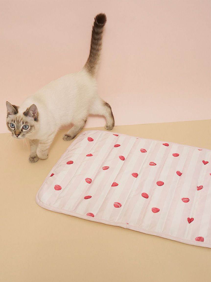  GELATO PIQUE CAT&DOG「【CAT&DOG】【接触冷感】 Coolingマット」|その他|