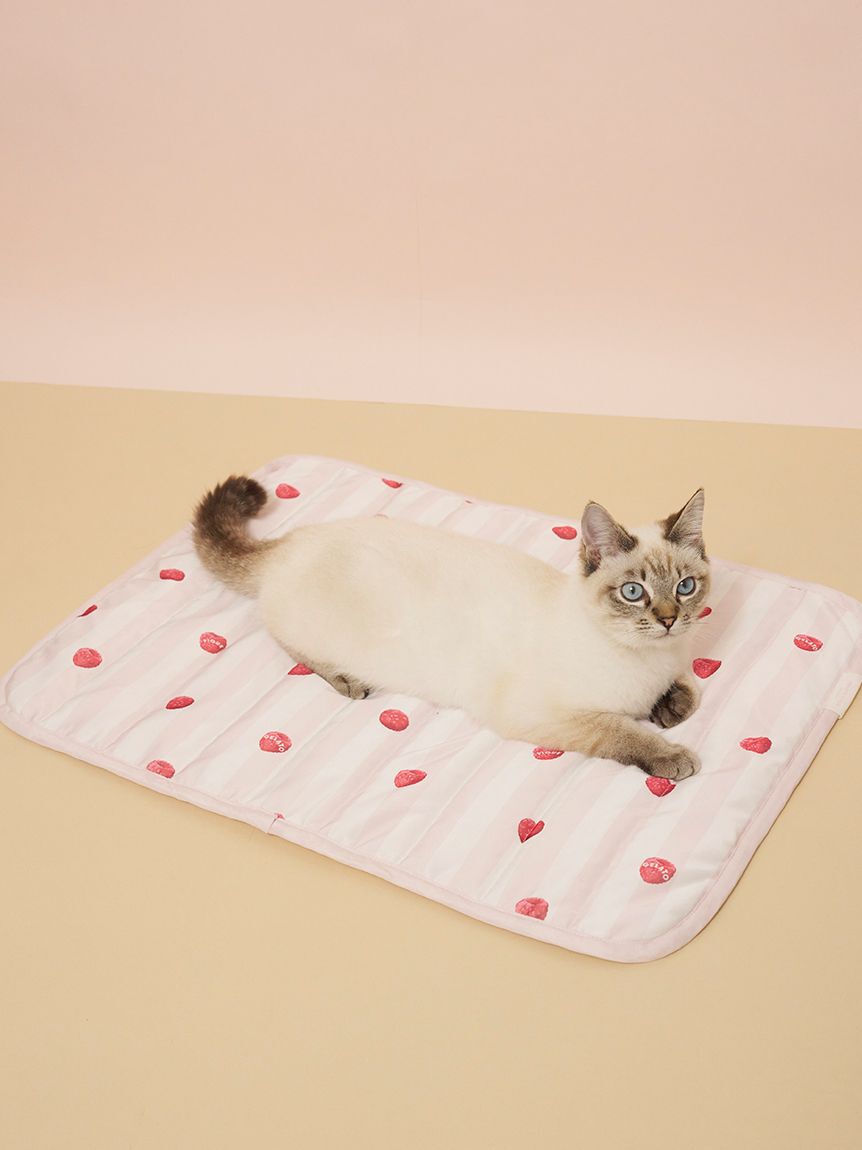  GELATO PIQUE CAT&DOG「【CAT&DOG】【接触冷感】 Coolingマット」|その他|