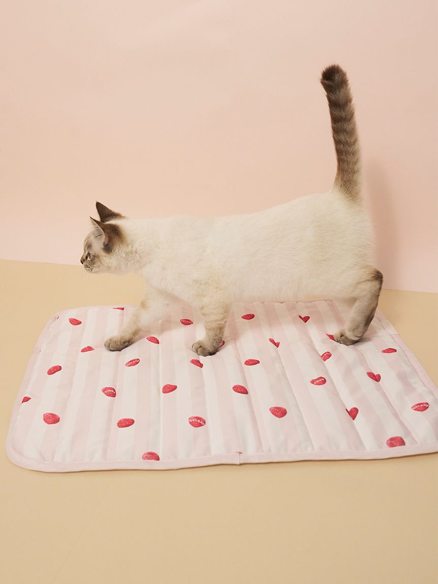  GELATO PIQUE CAT&DOG「【CAT&DOG】【接触冷感】 Coolingマット」|その他|