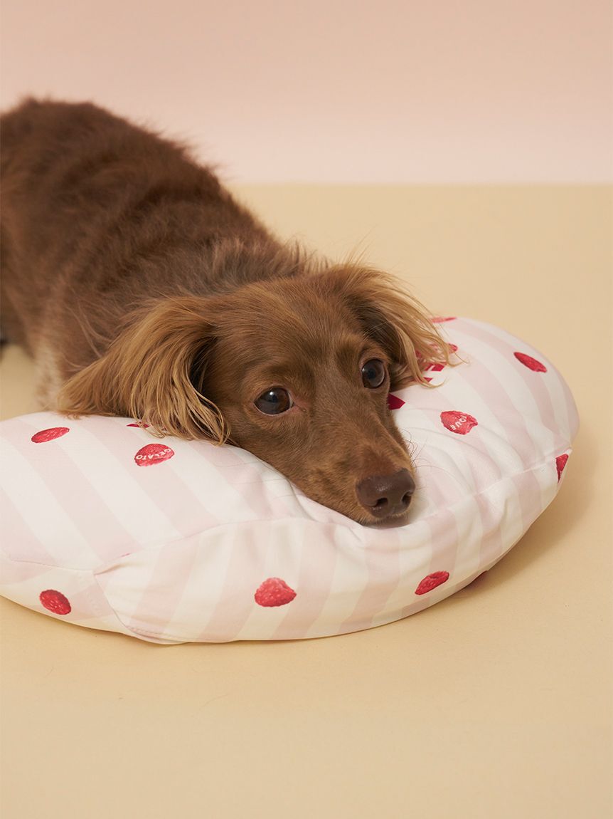  GELATO PIQUE CAT&DOG「【CAT&DOG】【接触冷感】 Coolingピロー」|その他|