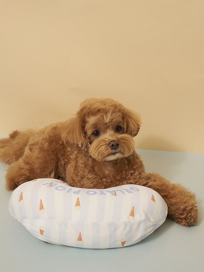  GELATO PIQUE CAT&DOG「【CAT&DOG】【接触冷感】 Coolingピロー」|その他|