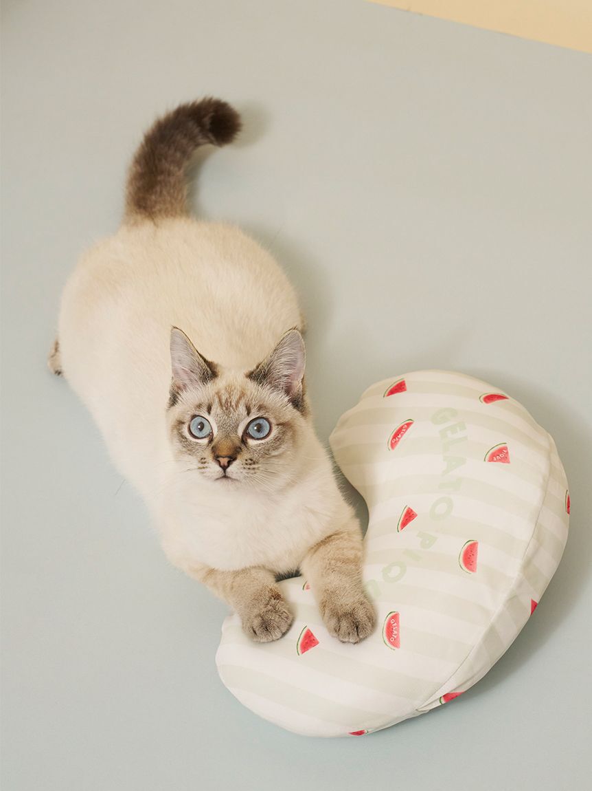  GELATO PIQUE CAT&DOG「【CAT&DOG】【接触冷感】 Coolingピロー」|その他|