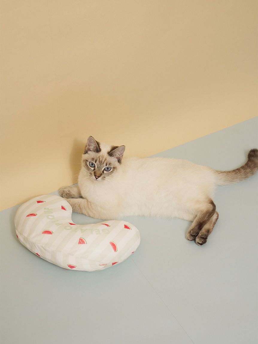  GELATO PIQUE CAT&DOG「【CAT&DOG】【接触冷感】 Coolingピロー」|その他|