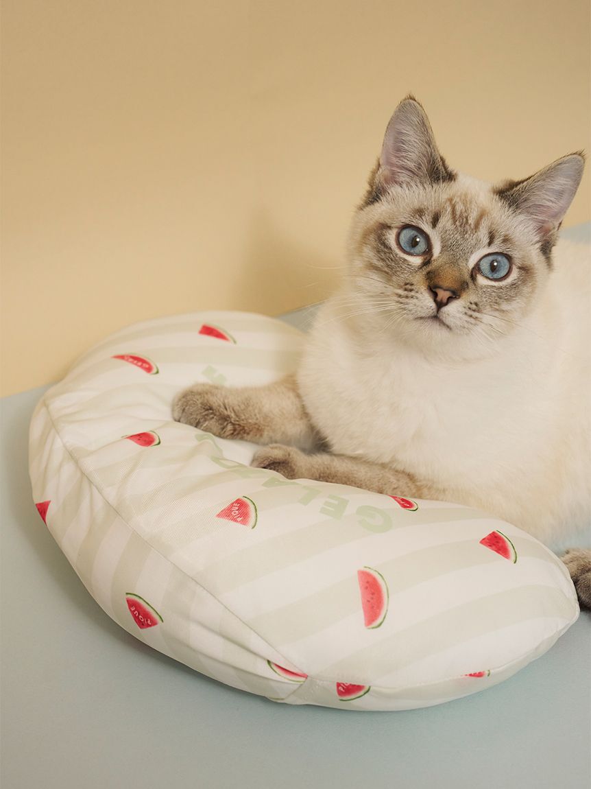  GELATO PIQUE CAT&DOG「【CAT&DOG】【接触冷感】 Coolingピロー」|その他|