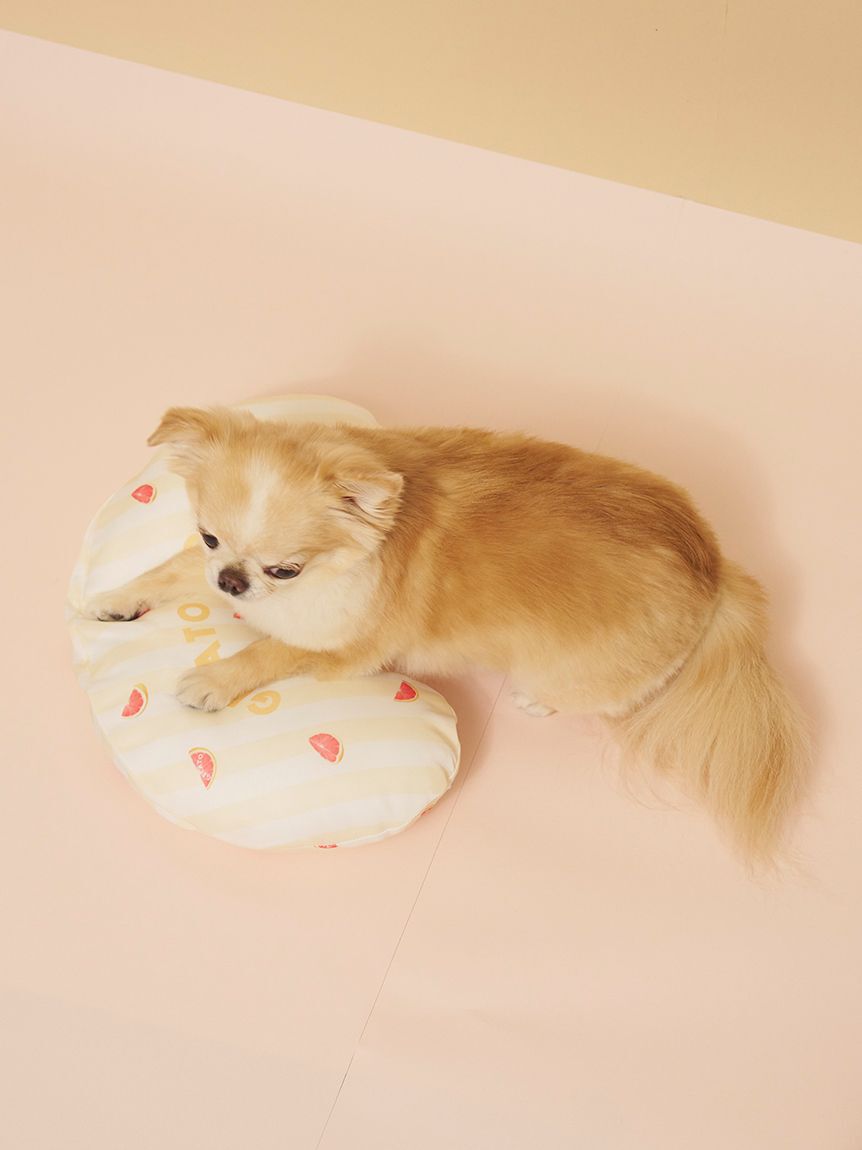  GELATO PIQUE CAT&DOG「【CAT&DOG】【接触冷感】 Coolingピロー」|その他|
